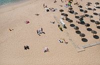 Beachcomber in Ericeira, Portugal