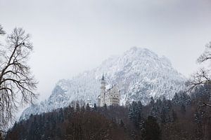Château de Neuschwanstein - Un château de conte de fées dans les montagnes hivernales