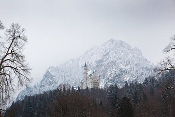 Schloss Neuschwanstein von Leanne lovink