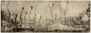 Chercheurs de lumière, Gravure