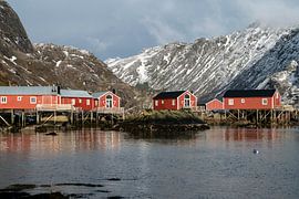 Nusfjord, Norway Lofoten. von Ab Wubben