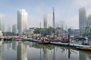 Der Leuvehafen im Oktober