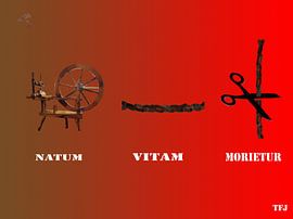 the path of life von Theunis Kuipers