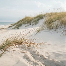 Die Nordsee mit dem Strand und den Dünen. von J.a Dijkstra