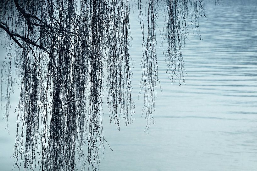 ZEN at the Lake by Lena Weisbek