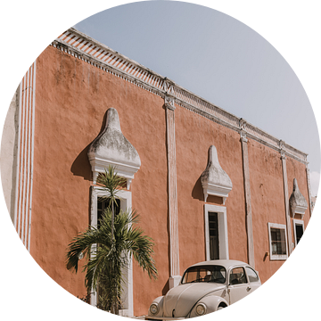 Beetle | Retro vintage auto | Calzada de los Frailes | Mexico van Roanna Fotografie