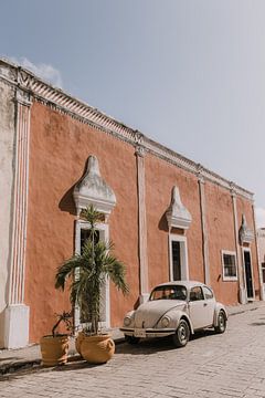 Beetle | Retro vintage auto | Calzada de los Frailes | Mexico van Roanna Fotografie