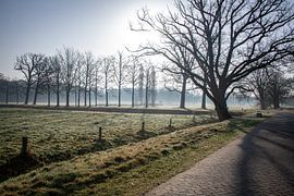 Früh am Morgen auf dem Landgut Twickel