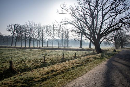 Vroege ochtend bij landgoed Twickel
