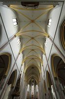 Lines & Curves_3