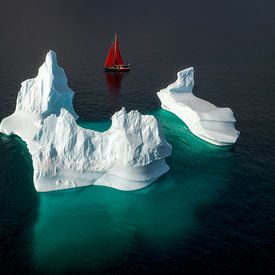 Groenland vanuit de lucht van Ilona Schong