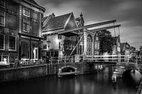 Huis Met de Kogel, Alkmaar