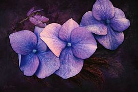 Blaue Hortensie mit einer Libelle und Blättern von Helga Blanke