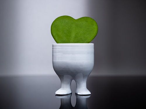 Een liefde voor groen