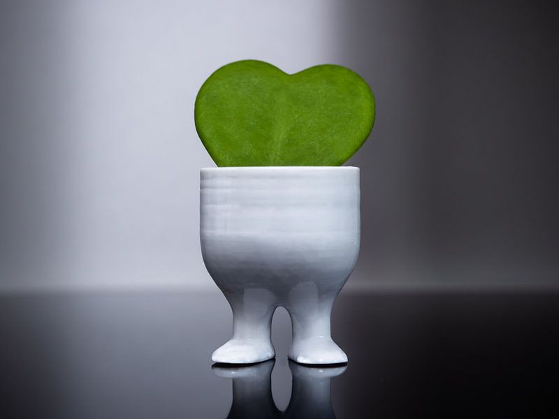 L'amour du vert par Stijn Cleynhens