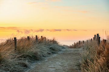 Sonnenaufgang von der Dünenspitze. von Ron van der Stappen