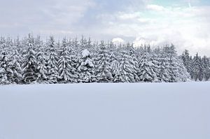 snowy landscape