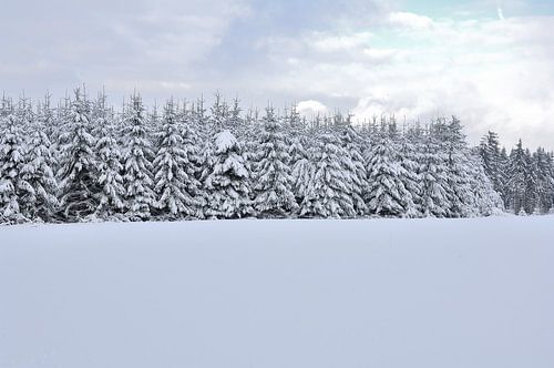 schneebedeckte Landschaft