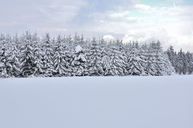 snowy landscape by Ger Nielen