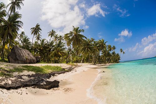 San Blas (îles) sur Andy Troy