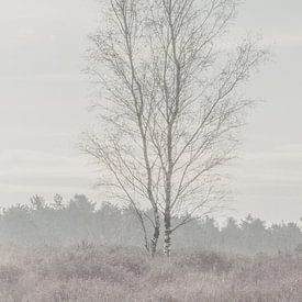 Eenzame boom van Ellen Metz