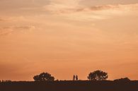 Sunset walk by Nancy van Verseveld thumbnail