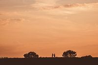 Sunset walk