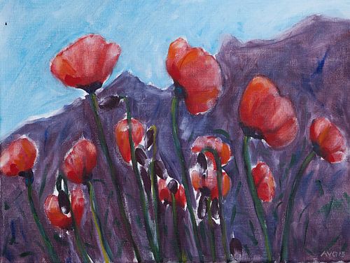 Poppies