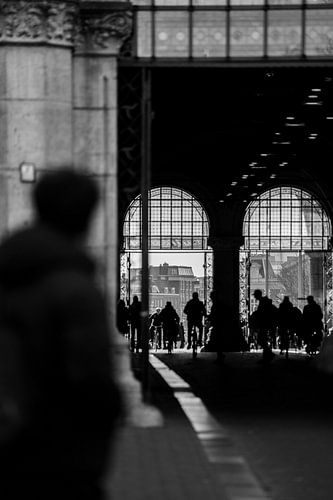 Through the Lens of Amsterdam