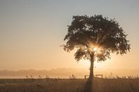 Morgendämmerung