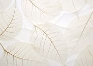 White silk leaves by Bianca ter Riet thumbnail