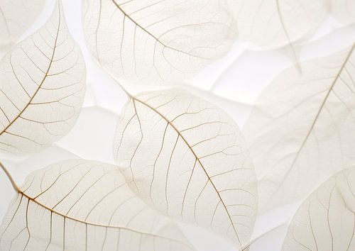 Weiße Seidenblätter