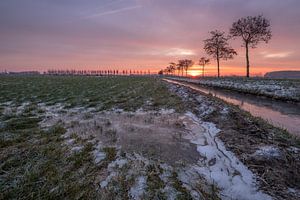 Winters landschap in de Betuwe