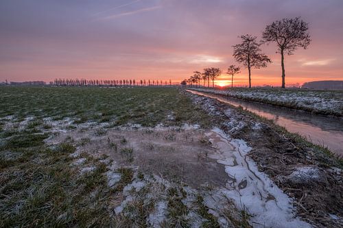 Winters landschap in de Betuwe