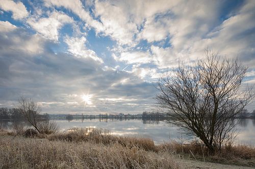 The Rhine near Oosterbeek #003