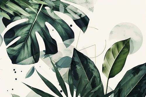 Tropical leaves Monstera