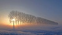 Dreamscape in Holland I