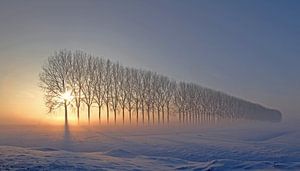 Dreamscape in Holland  I van Marinus de Keijzer