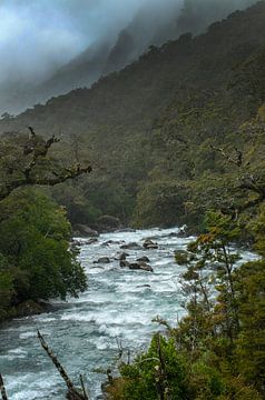 Snel stromende beek Kliffen en gebergte Milford Sound kust Nieuw Zeeland. Jungle en bos. van Albert Brunsting