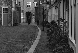 La cour sur Lilian van der Linden