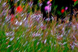 BLUMENWIESE 5 von Miroslav Ptacek