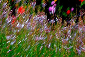 PRÉ FLORAL 5 sur Miroslav Ptacek