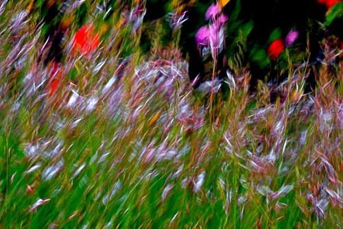 PRÉ FLORAL 5