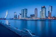 Rotterdam Skyline von Dennis Donders Miniaturansicht