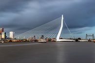 De mooie, indrukwekkende skyline Rotterdam van Miranda van Hulst thumbnail