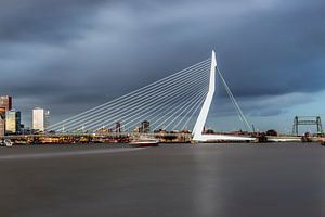 La belle et impressionnante ligne d'horizon de Rotterdam