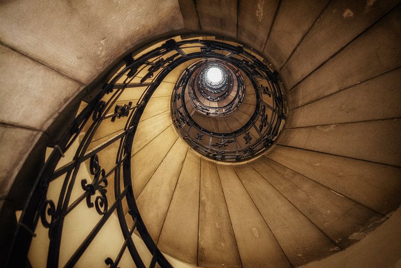 Escalier par Carina Buchspies
