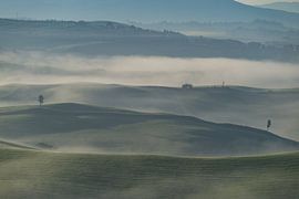 Early morning fog in Tuscany by Walter G. Allgöwer