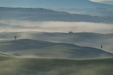 Vroege ochtendmist in Toscane van Walter G. Allgöwer