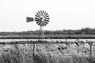 Klassische Windmühle in Friesland